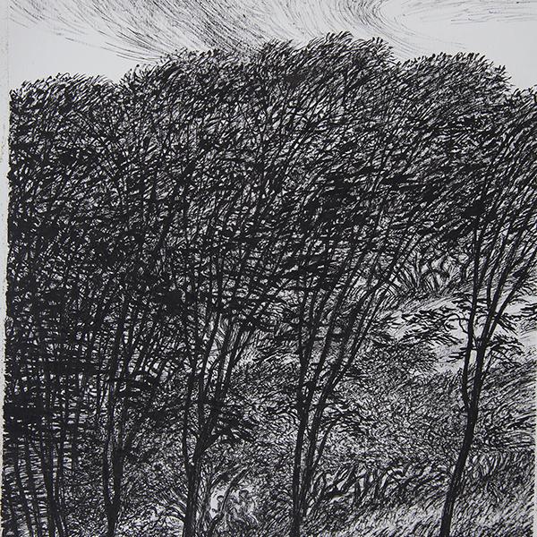 Amantes en el Bosque 